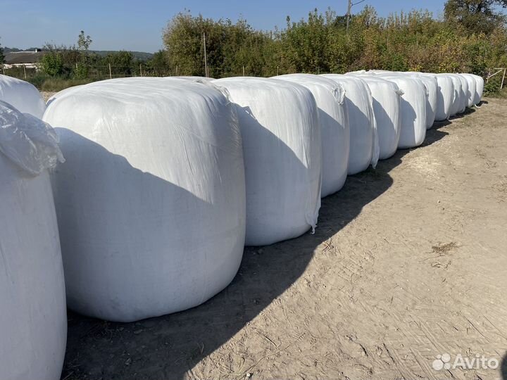 Жом свекловичный Консервированный