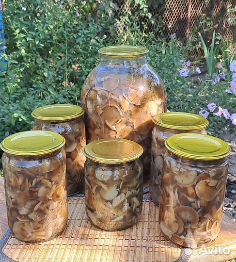 Маринованные грибы опята и чинарики