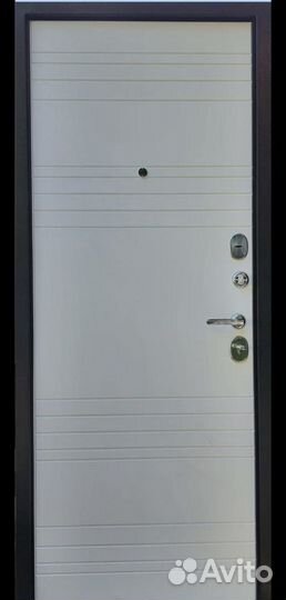 Дверь. Металл. Входная. Рубикон