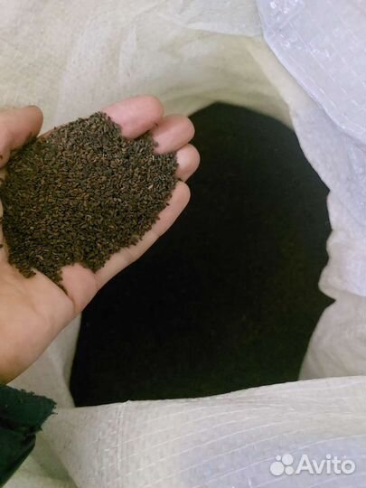 Фацелия семена