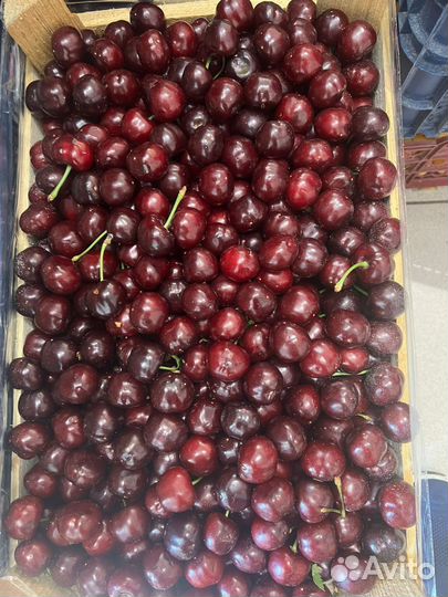 Черешня оптом
