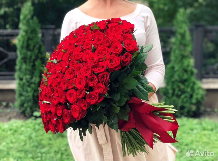 101 роза цветы букеты доставка 25 51 101 роза