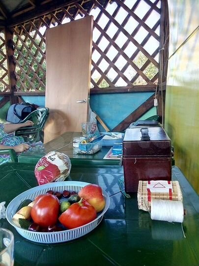 Дача 20 м² на участке 5 сот.