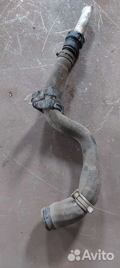 Патрубок охлаждения на Ford Fiesta