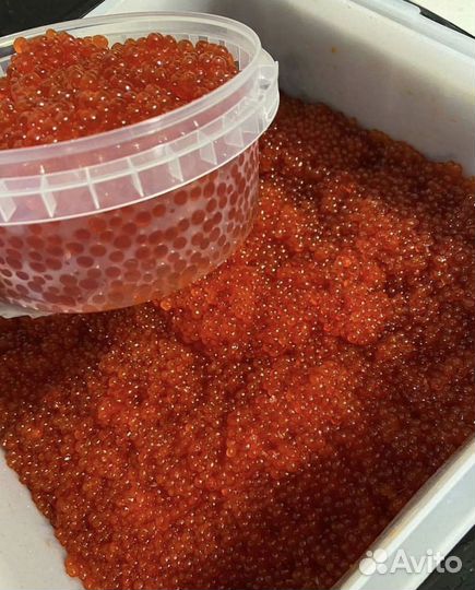 Красная икра Горбуши опт 1000 г. зернистая