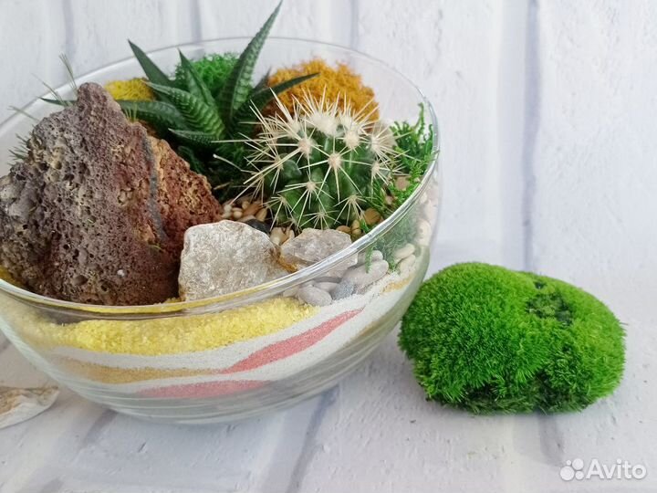 Флорариум Икосаэдр