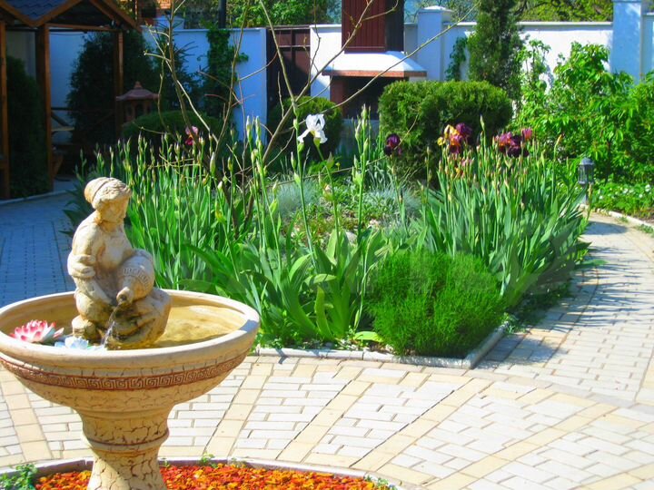 Комната 20 м² в > 9-к., 1/3 эт.