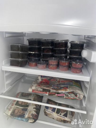 Мотыль насадочный, опарыш, червь мотыль кормовой