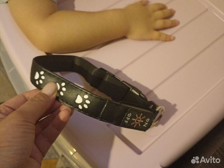 Светодиодный ошейник