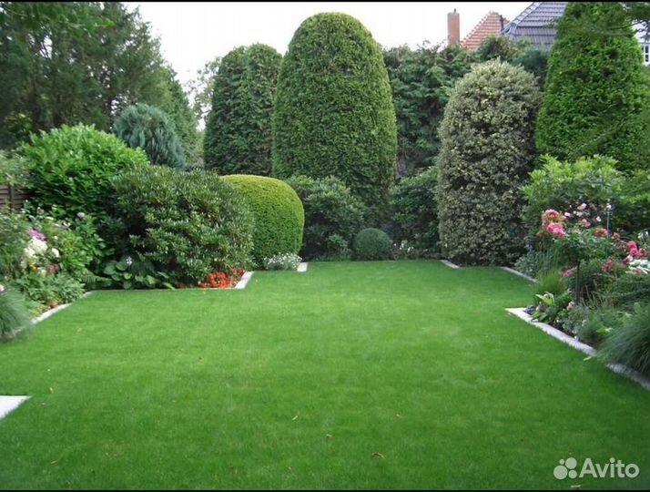 Рулонный газон укладка