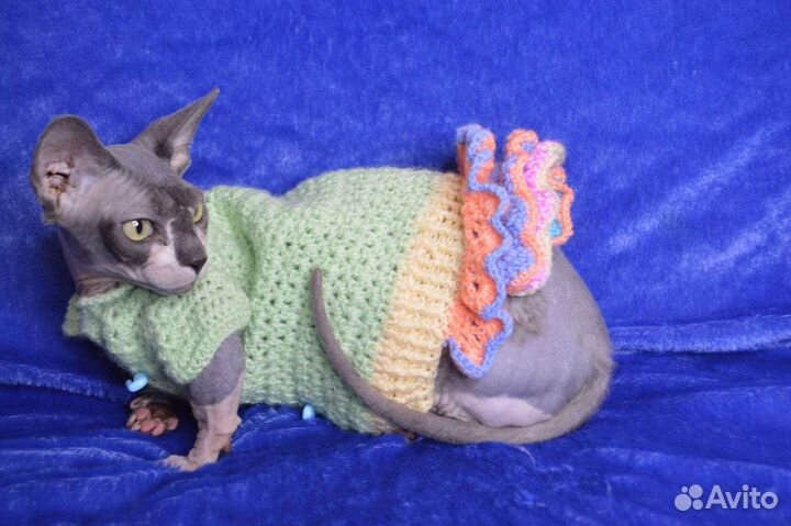 Одежда для кошечек и собачек