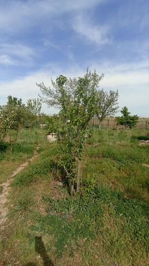 Дача 10 м² на участке 6,5 сот.