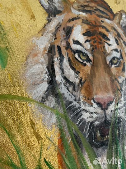 Картина маслом на холсте, тигр 30х40