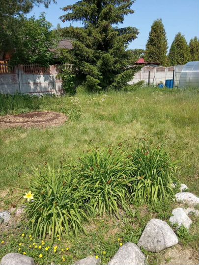 Участок 20 сот. (СНТ, ДНП)