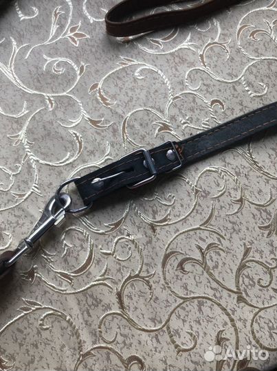 Поводок и ошейник