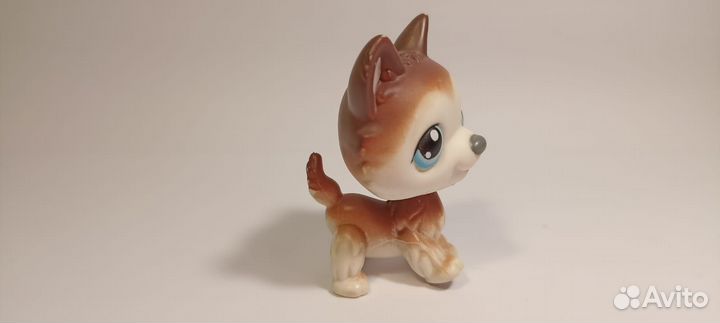 Littlest pet shop