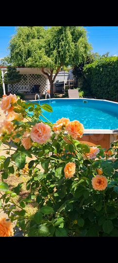 Дом 140 м² на участке 7 сот.