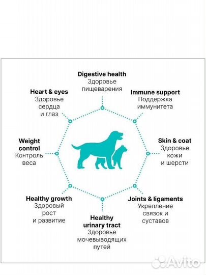Корм для собак Premier 10 кг
