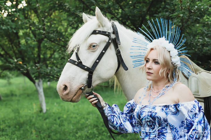 Аренда коня для фотосессии