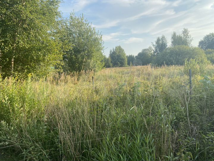 Участок 6 сот. (СНТ, ДНП)