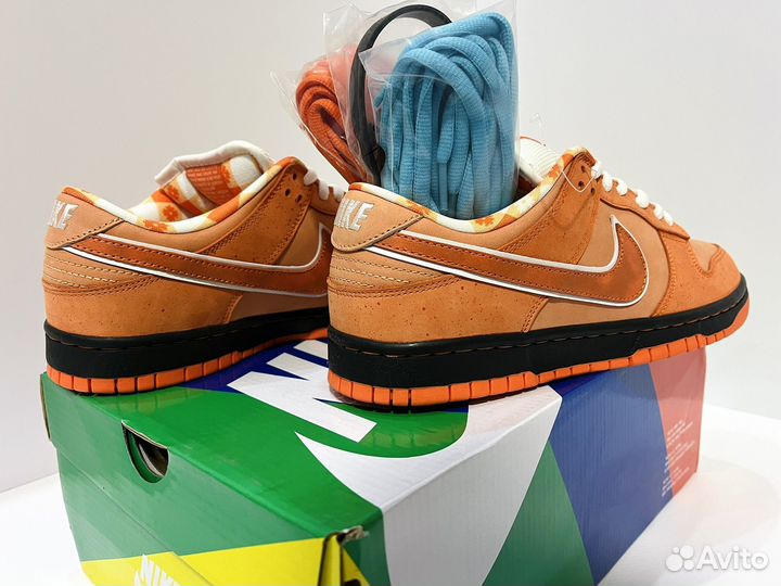 Nike SB Dunk Low Concepts Orange Lobster