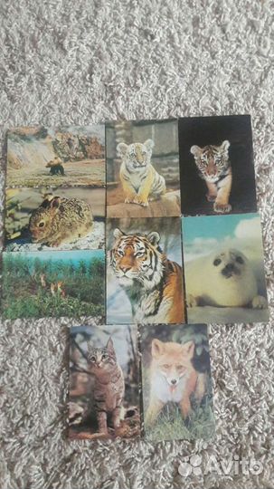 Открытки СССР