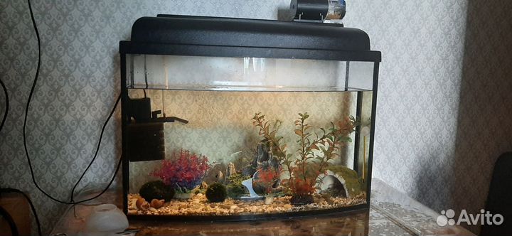Аквариум в полном комплекте
