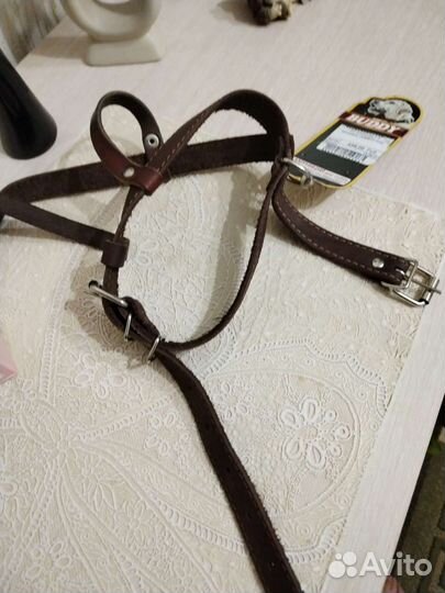 Шлейка для собаки