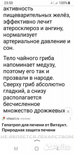 Чайный гриб,в 3-х л.баночке