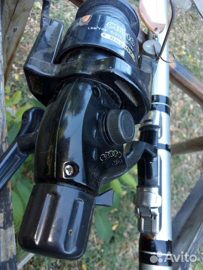 Удочка в соборе