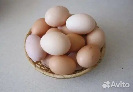 Домашние куриные яйца