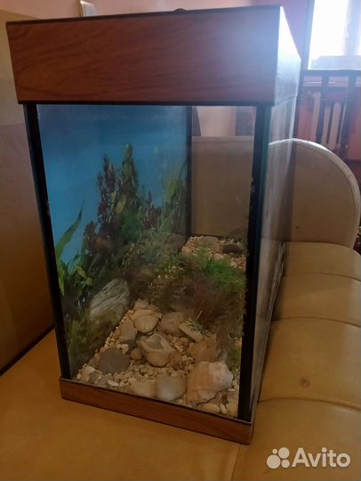 Аквариум