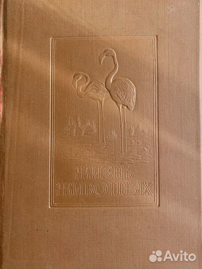 Жизнь животных.Брем 4 том,1937 год