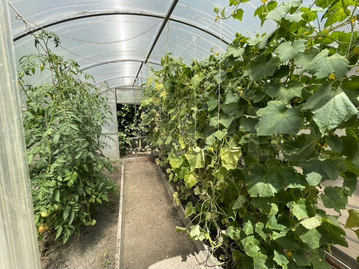 Дом 128 м² на участке 7 сот.