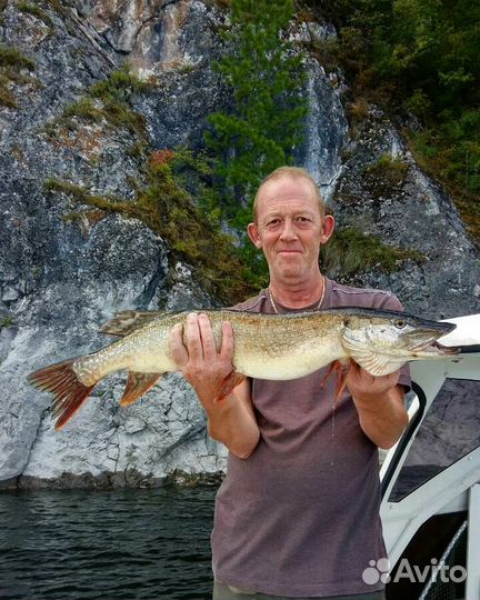 Рыбалка на Красноярском море водохранилище