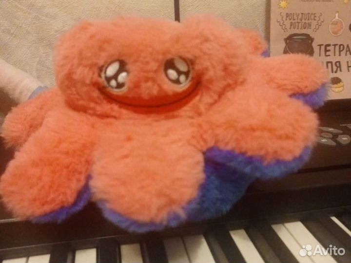 Семья хаги ваги