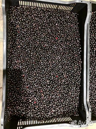 Замороженные ягоды