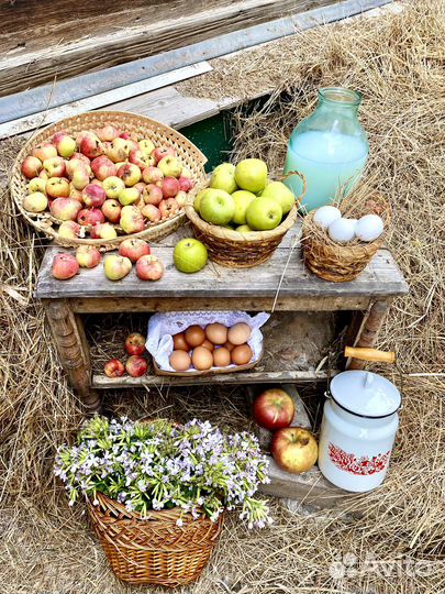 Молочный бидон СССР