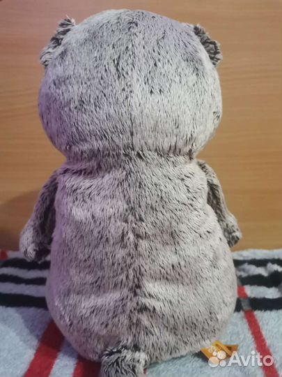 Кот Басик, Basik&Co