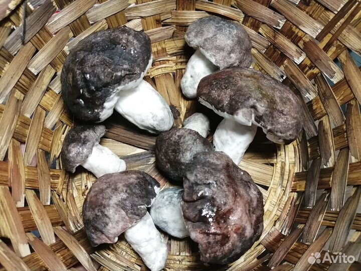 Грибы, поделки, игрушки