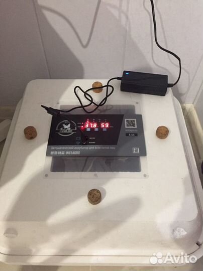 Инкубатор для яиц автоматический 