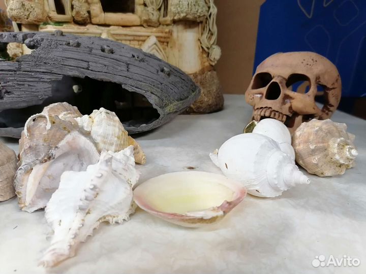 Аквариумные декорации