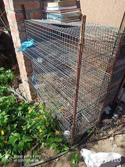 Клетки для перепелов бу