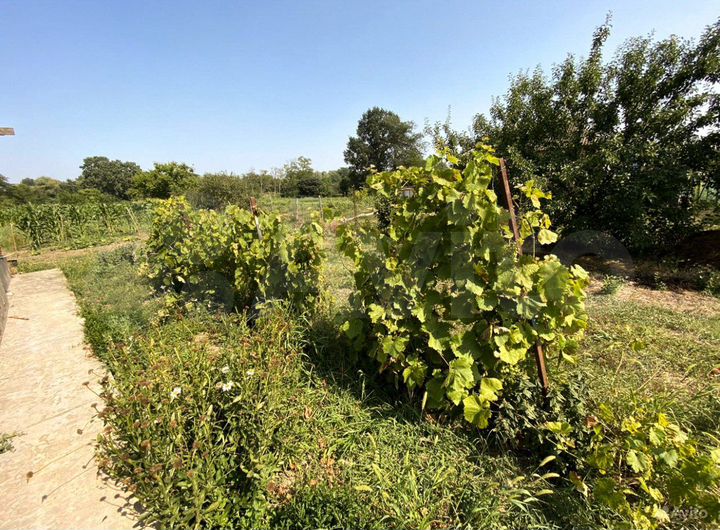 Дом 81 м² на участке 27 сот.