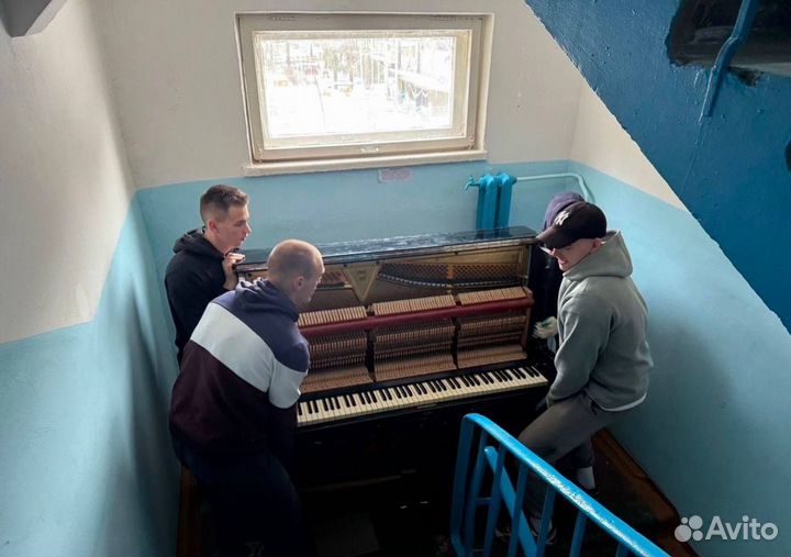 Грузчики на час разнорабочие