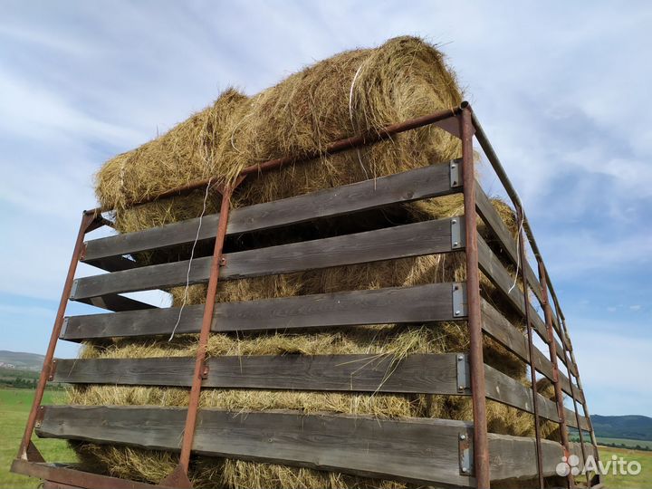 Продам сено