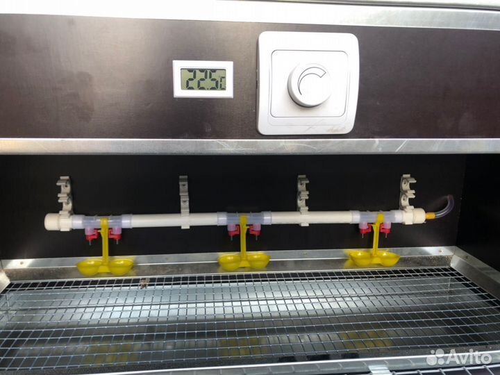 Брудер для цыплят. Комфорт. (бр-1-к)