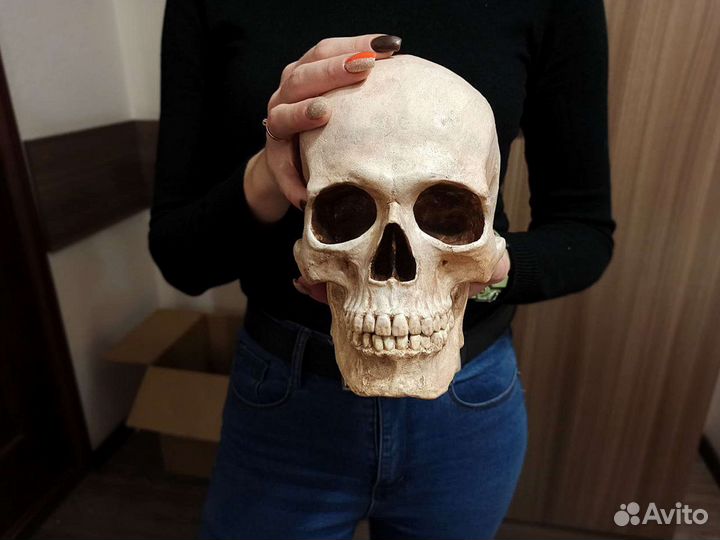 Большой череп