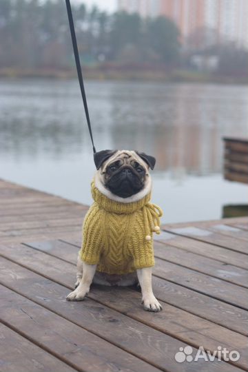 Одежда для собак свитер ручной работы