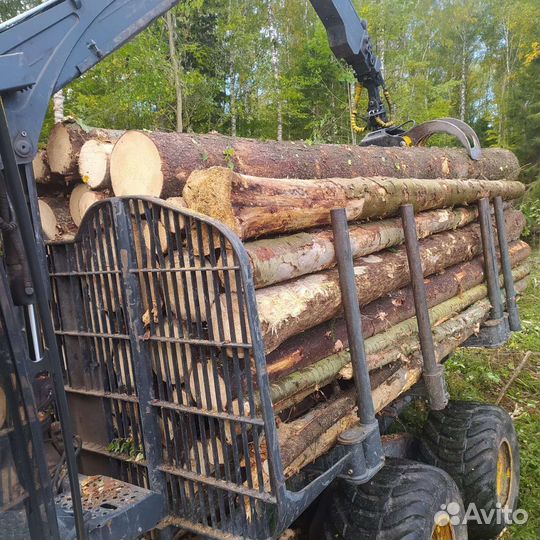 Лес кругляк пиловочник